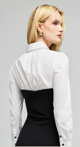 Jacqueline Poplin Combo Ponte Dress