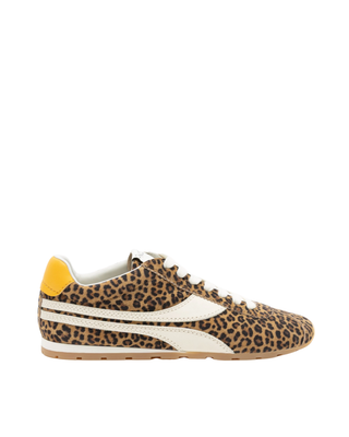 Oncept Essex, Leopard