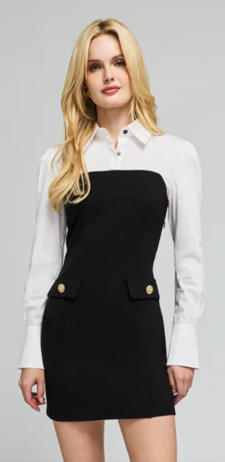 Jacqueline Poplin Combo Ponte Dress